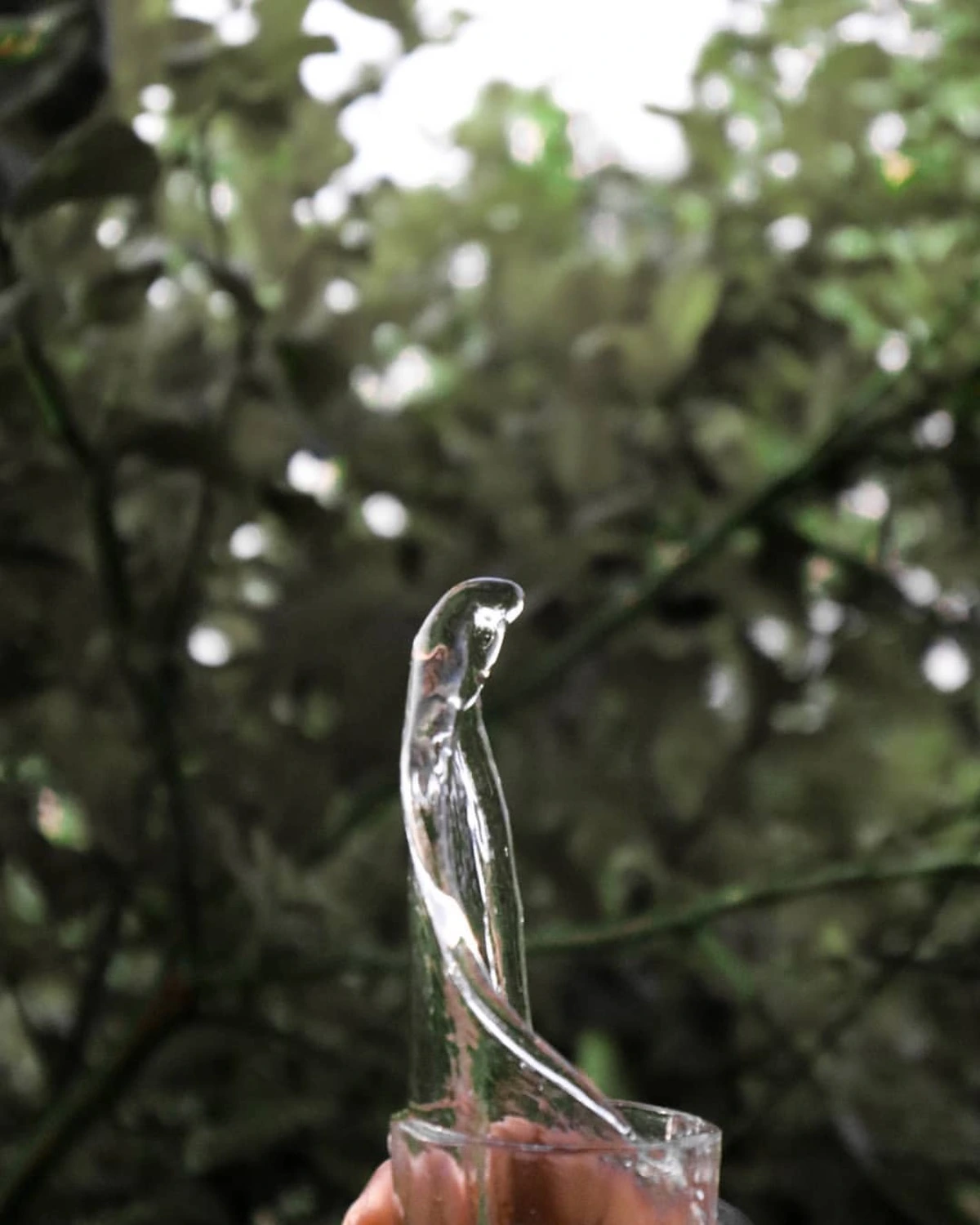 A stream of water frozen mid-pour from a glass, against blurred green foliage