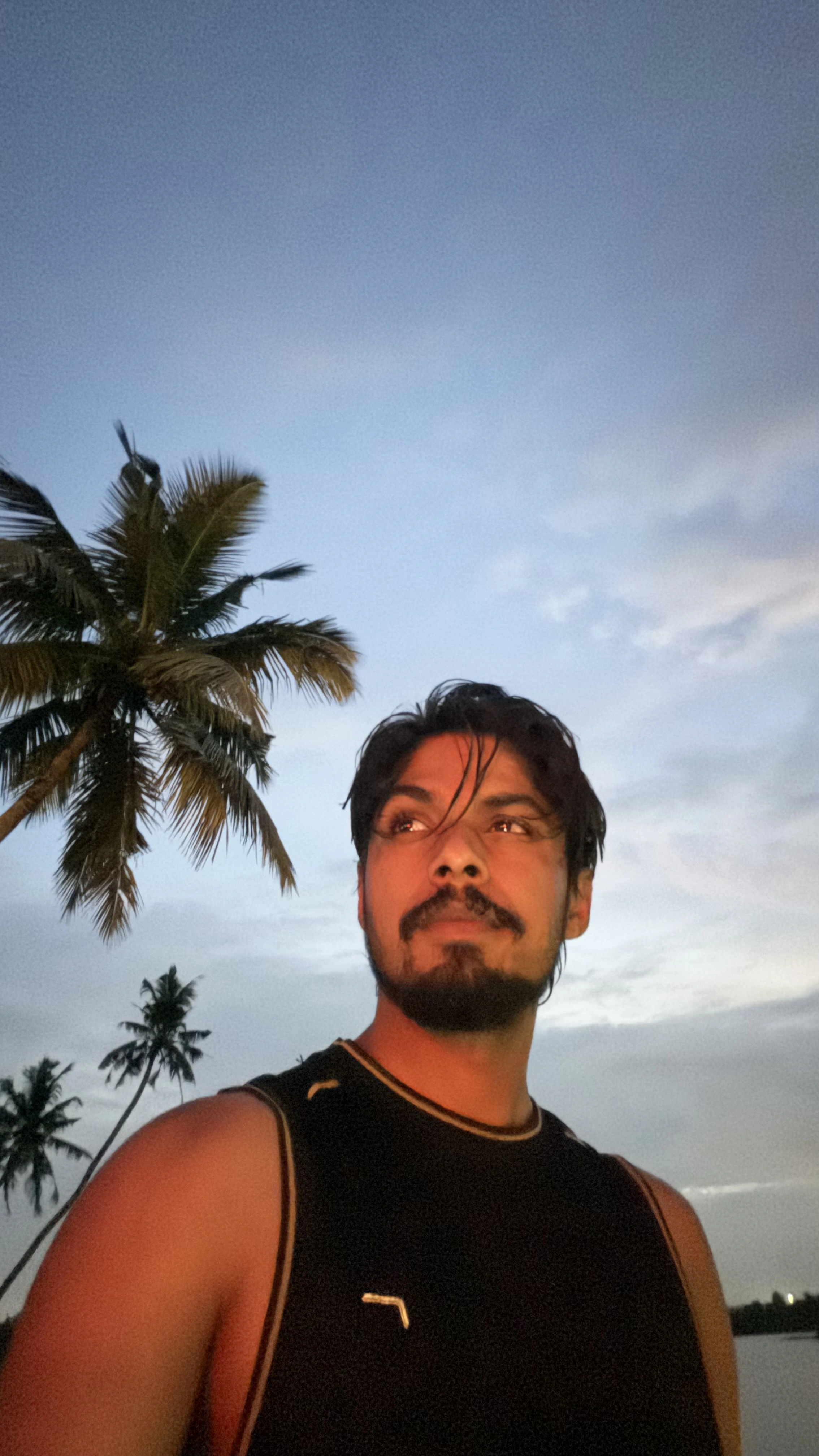 Evening by the backwaters, palms against a dusk sky